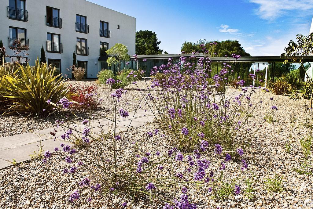 Lifehouse Spa And Hotel Frinton-on-Sea Bagian luar foto